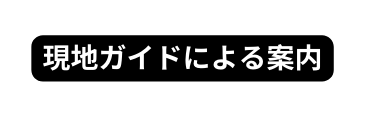 現地ガイドによる案内